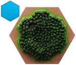 Wood Hex - 3D SF/CK 2023