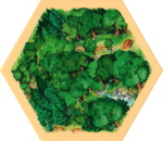 6E Base - Wood 03