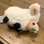 Catanimal 2019 - Sheep
