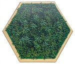 Jungle - Das Buch