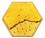 Wheat - German 1995