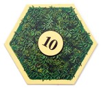 NL-Jungle 03