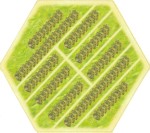 MP-Plantation 01